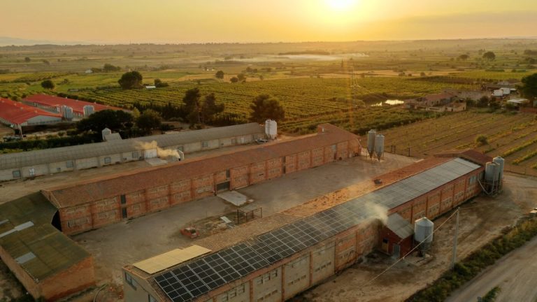 Agro Montlleu